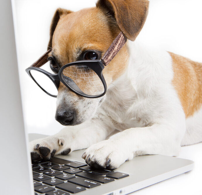 Depositphotos_51511739_S